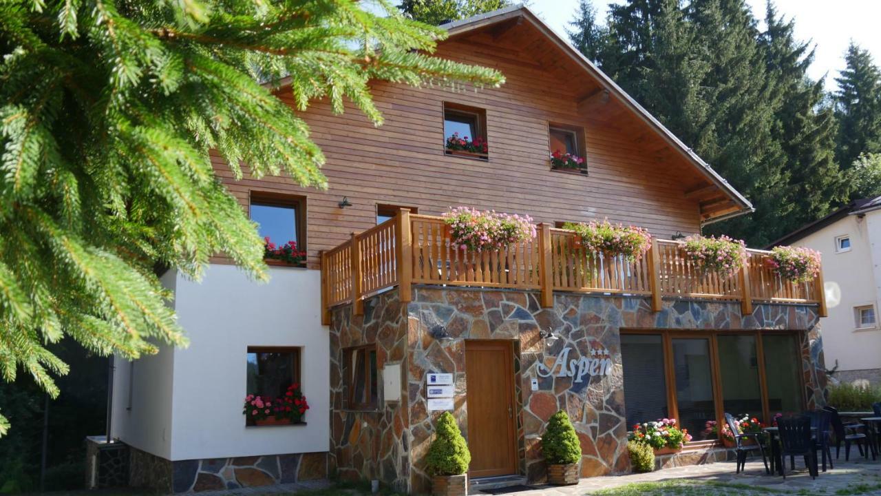 Pension Aspen Гаррахов Екстер'єр фото