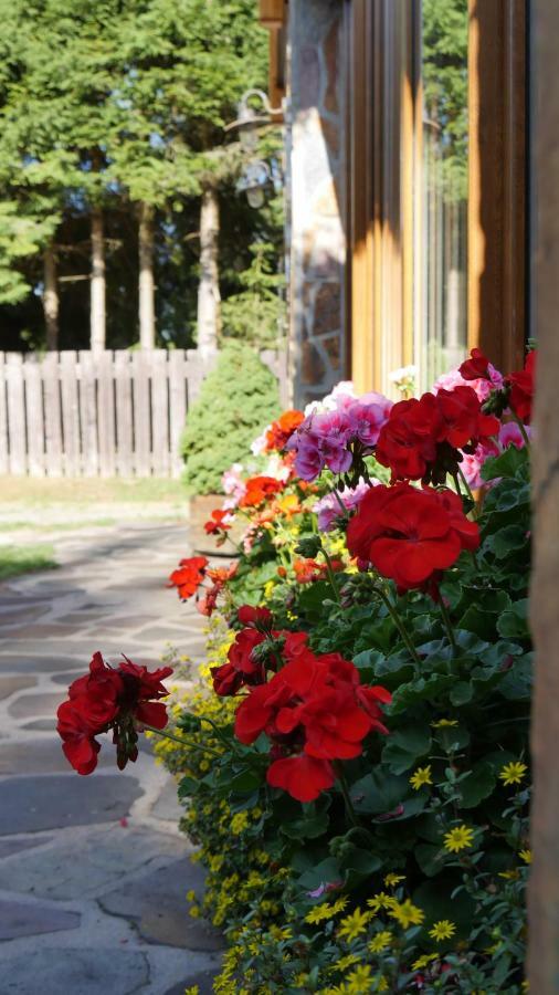 Pension Aspen Гаррахов Екстер'єр фото