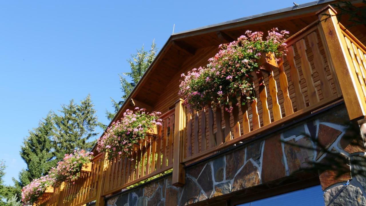 Pension Aspen Гаррахов Екстер'єр фото